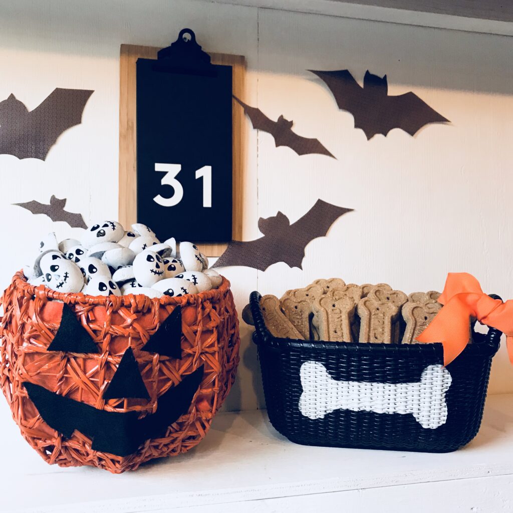 pumpkin dog baskets